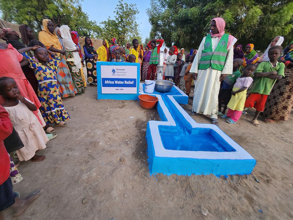 Public Health, Water, and Sanitation Program (WASH)